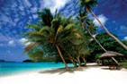 Holiday Packages to Vanuatu Holiday Packages to Vanuatu